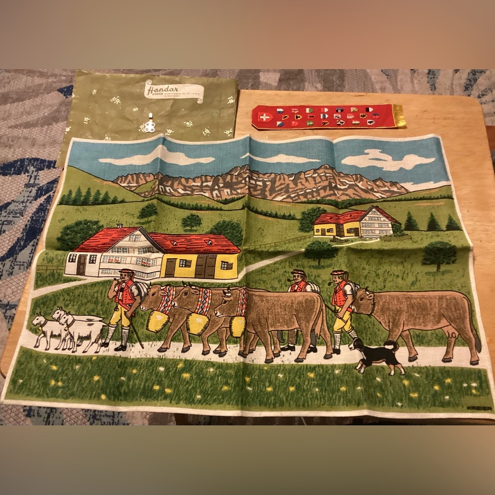🚨Final Sale🚨!! Vintage Swiss Scenic Woven Linen Placemat